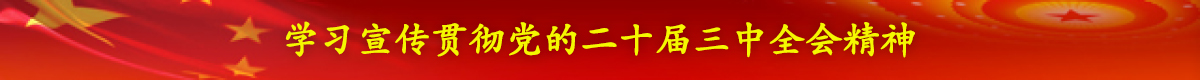 学习宣传贯彻党的二十届三中全会精神
